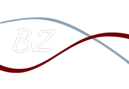 Birgit Zaik - Logo